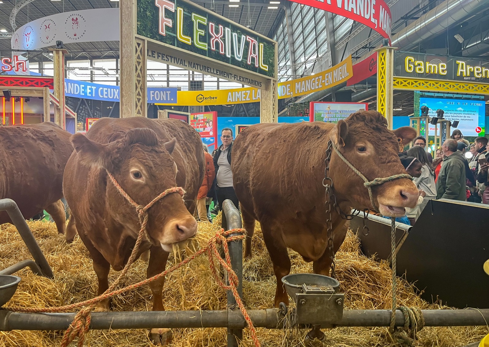 Allée du Salon de l’Agriculture 2026 sans troupeaux bovins
