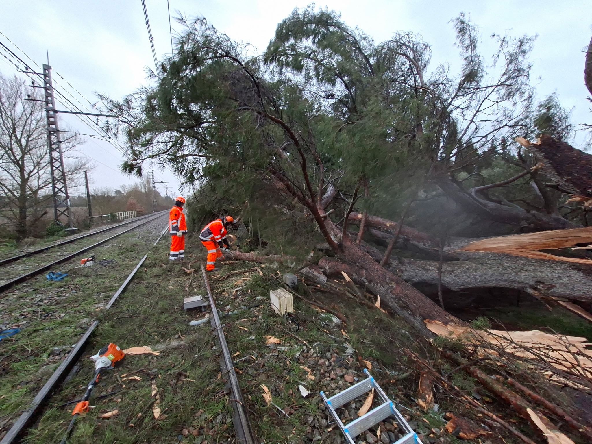 Rafales et dégâts lors de la tempête Nils en France le 12 février 2026