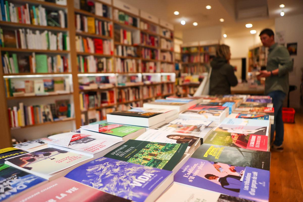 Édition indépendante en péril : la faillite de Makassar menace 200 maisons d'édition face au rouleau compresseur Bolloré